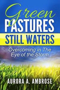 bokomslag Green Pastures, Still Waters: Overcoming in The Eye of the Storm