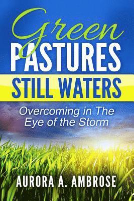 bokomslag Green Pastures, Still Waters: Overcoming in The Eye of the Storm