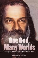 bokomslag One God, Many Worlds: Teachings of a Renewed Hasidism: A Festschrift in Honor of Rabbi Zalman Schachter-Shalomi, z?l