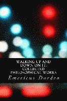 bokomslag Walking Up And Down On It: Collected Philosophical Works