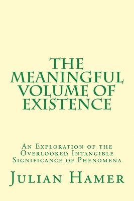 The Meaningful Volume of Existence 1