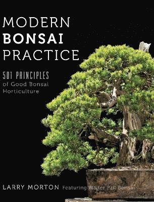 Modern Bonsai Practice 1