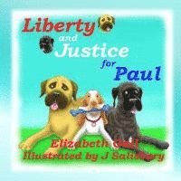 bokomslag Liberty and Justice for Paul