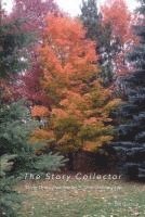 bokomslag The Story Collector: Thirty Three True Stories - One Ordinary Life