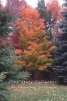 The Story Collector: Thirty Three True Stories - One Ordinary Life 1