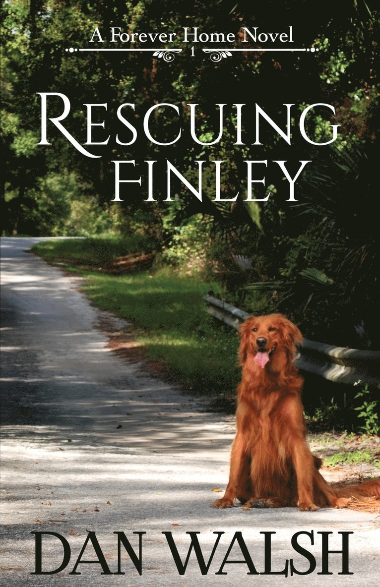 Rescuing Finley 1