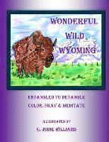 bokomslag Wonderful Wild Wyoming: Entangled to Detangled: Color, Pray & Meditate