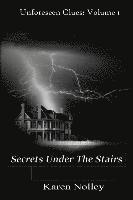 bokomslag Secrets Under The Stairs
