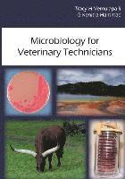bokomslag Microbiology for Veterinary Technicians