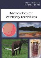 G. Kenitra Hammac, Tracy H. Vemulapalli - Microbiology for Veterinary Technicians, Häftad