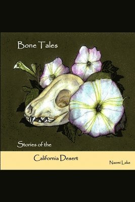 bokomslag Bone Tales