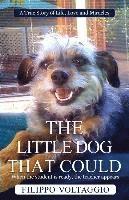 bokomslag The Little Dog That Could: A True Story of Life, Love and Miracles