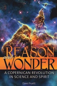 bokomslag Reason and Wonder