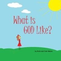 bokomslag What is God Like?