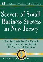 bokomslag Secrets of Small Business Success in New Jersey