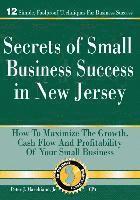 bokomslag Secrets of Small Business Success in New Jersey