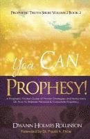 bokomslag You Can Prophesy: A Prophetic Pocket-Guide of Proven Strategies and Instructions On How To Release Personal and Corporate Prophecy