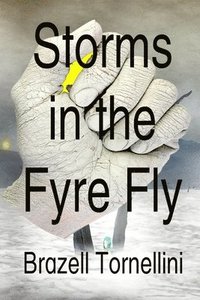 bokomslag Storms in the Fyre Fly