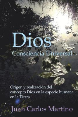 bokomslag Dios, Consciencia Universal: Origen y realizacion del concepto Dios en la especie humana en la Tierra