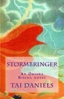 bokomslag Stormbringer