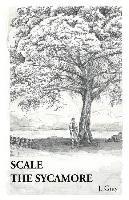 bokomslag Scale the Sycamore