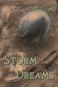 bokomslag Storm Dreams