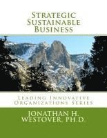 bokomslag Strategic Sustainable Business