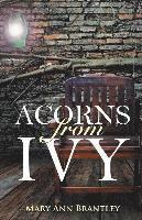 Acorns from Ivy 1