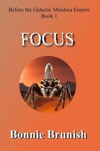 bokomslag Focus