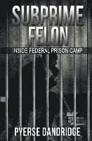 bokomslag Subprime Felon: Inside Federal Prison Camp