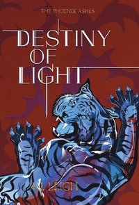 bokomslag Destiny of Light