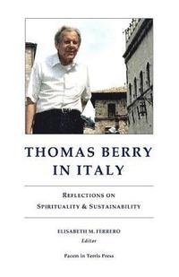 bokomslag Thomas Berry in Italy: Reflections on Spirituality & Sustainability
