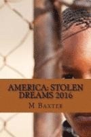 bokomslag America: Stolen Dreams 2016