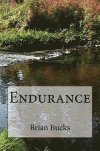 bokomslag Endurance