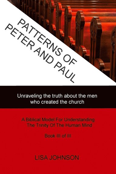 bokomslag Patterns Of Peter And Paul