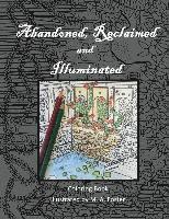 bokomslag Abandoned, Reclaimed, Illuminated Coloring Book: Abandoned by man, reclaimed by nature, illuminated by you.