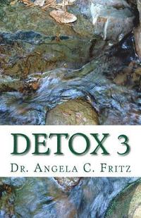 bokomslag Detox 3: Detoxify Your Body Gently the Natural Way in 3 Weeks