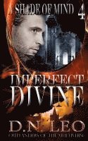 bokomslag Imperfect Divine