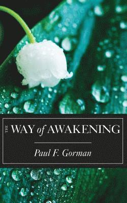 The Way of Awakening 1