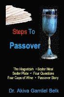 bokomslag Steps To Passover