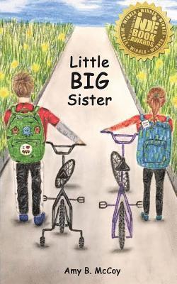 Amy B. McCoy - Little Big Sister, Häftad