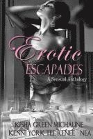 bokomslag Erotic Escapades