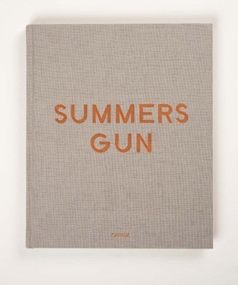 bokomslag Daniel Hesidence: Summers Gun