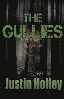 The Gullies 1