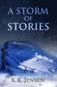 bokomslag A Storm of Stories