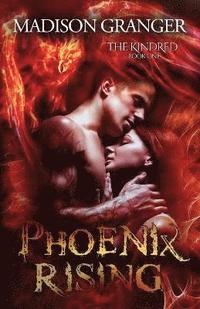 bokomslag Phoenix Rising