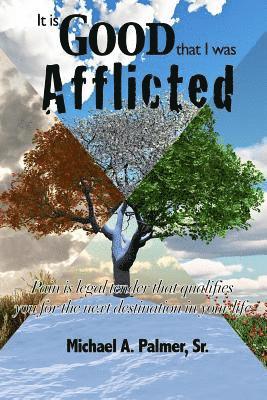 Sr. Palmer, Michael A. - It Is Good That I Was Afflicted, Häftad
