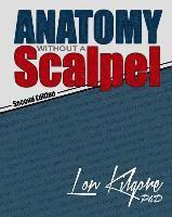 bokomslag Anatomy Without a Scalpel - Second Edition