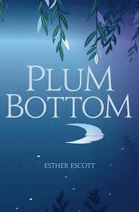 bokomslag Plum Bottom