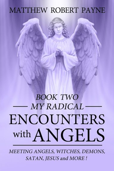 bokomslag My Radical Encounters with Angels